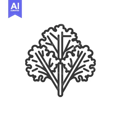 Aset premium populer: Line drawing of a sprig of cilantro or coriander