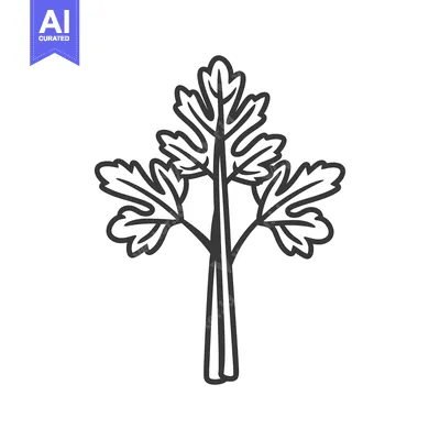 Premium design asset: Line Drawing of a Sprig of Parsley
