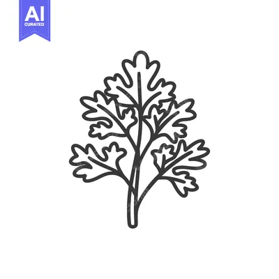 Aset desain premium: Line Drawing of a Sprig of Parsley