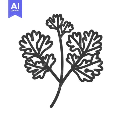 Aset premium populer: Line Drawing of a Sprig of Parsley