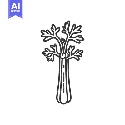 Popular premium asset: Line drawing of a stalk of celery with leaves