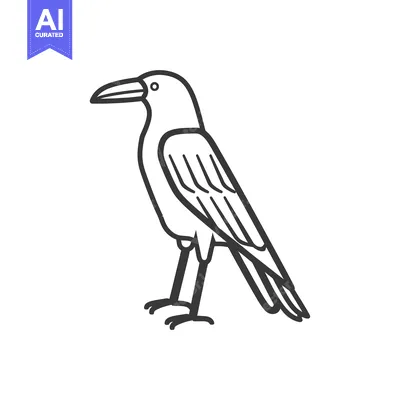 Aset premium populer: Line Drawing of a Standing Raven