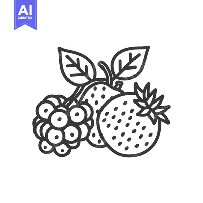 Popular premium asset: Line Drawing of a Strawberry, a Pear, and a Cluster of Berries