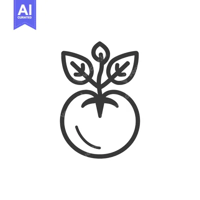 Premium design asset: Line Drawing of a Tomato Plant with Leaves