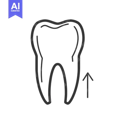 Aset desain premium: Line drawing of a tooth with an upward arrow