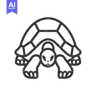 Line Drawing of a Tortoise with Its Shell on Its Back