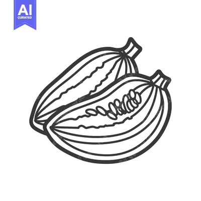 Aset premium populer: Line Drawing of a Watermelon Cut in Half