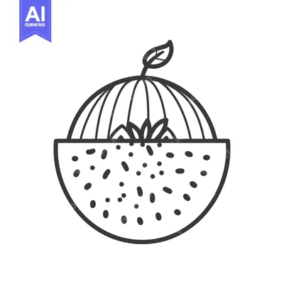 Aset premium populer: Line Drawing of a Watermelon with a Leaf on Top