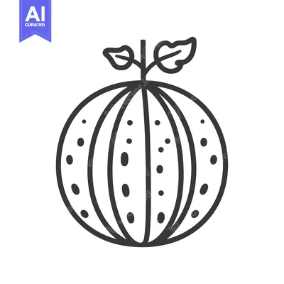Popular premium asset: Line Drawing of a Watermelon with Seeds and Leaves