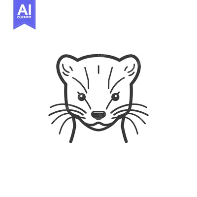 Premium design asset: Line drawing of a weasel's head