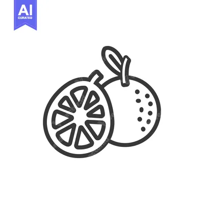 Aset desain premium: Line Drawing of a Whole and Half Orange with Leaf