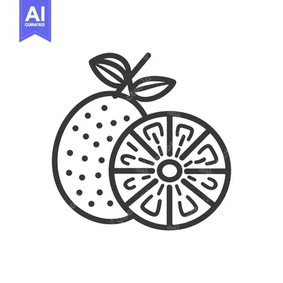 Aset desain premium: Line Drawing of a Whole and Sliced Orange Fruit