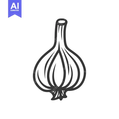 Simple Line Art Illustration of a Garlic Bulb.