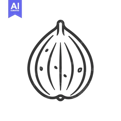 Premium design asset: Line Drawing of a Whole Onion