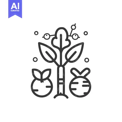 Aset premium populer: Line Drawing of Beet Plant with Two Beets