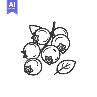 Premium design asset: Line Drawing of Blueberries on a Stem