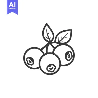 Premium design asset: Line drawing of blueberries with leaves