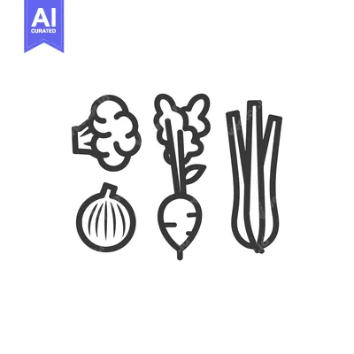 Aset premium populer: Line Drawing of Broccoli, Onion, Beetroot, and Leeks