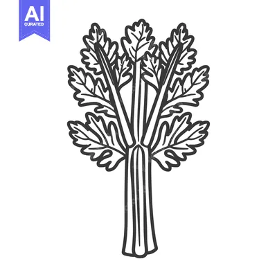 Premium design asset: Line drawing of celery stalks with leaves