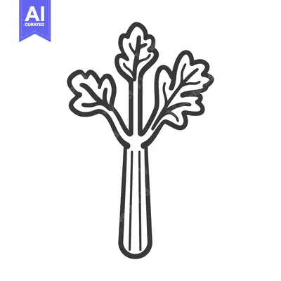 Line drawing of celery stalk with three leaves