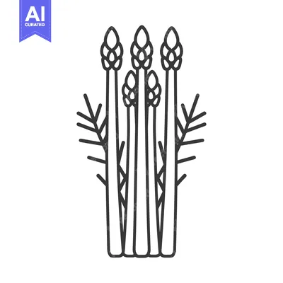 Aset premium populer: Line Drawing of Four Asparagus Spears with Leaf Tips