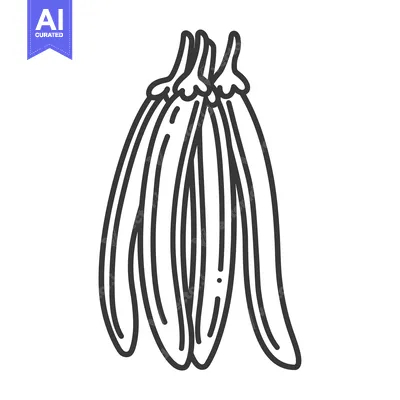 Aset premium populer: Line Drawing of Four Vanilla Beans