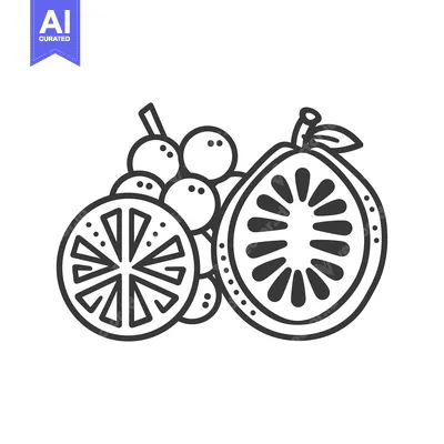 Aset desain premium: Line Drawing of Grapes, a Slice of Lemon, and a Slice of Pomelo