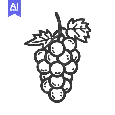Popular premium asset: Line Drawing of Grapes with Leaf Stem