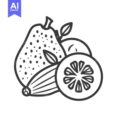Aset desain premium: Line Drawing of Guava, Cucumber, and Lemon Slices