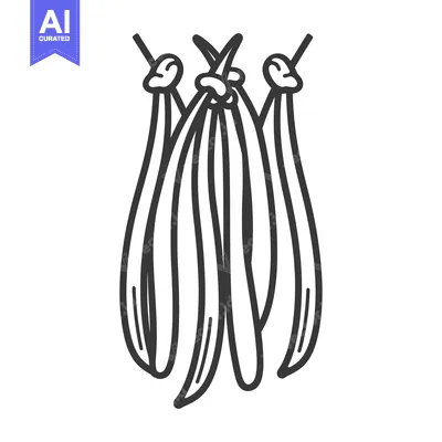 Premium design asset: Line Drawing of Hanging Vanilla Beans