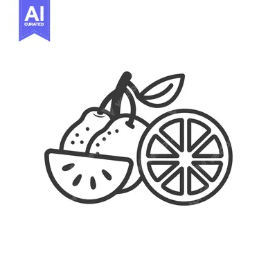 Line Drawing of Oranges and an Orange Slice
