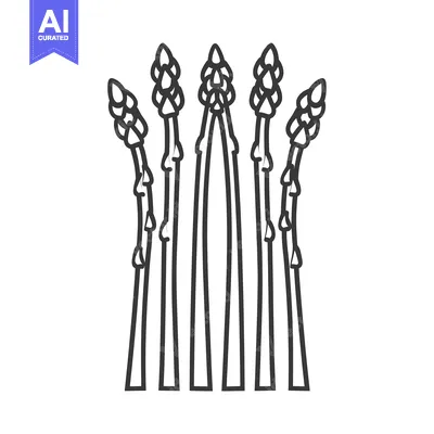 Aset desain premium: Line drawing of six asparagus spears