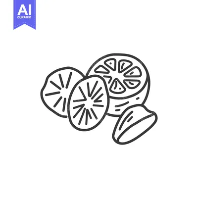 Line Drawing of Sliced Citrus Fruit