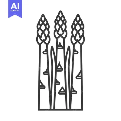 Aset desain premium: Line drawing of three asparagus spears