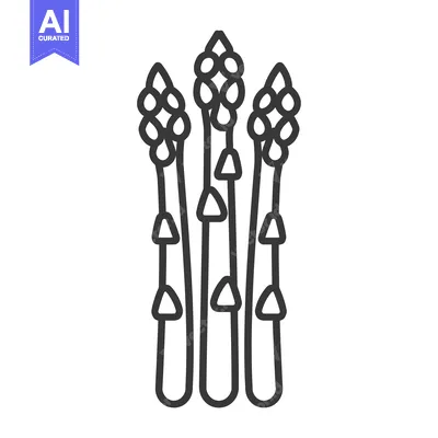 Premium design asset: Line Drawing of Three Asparagus Spears