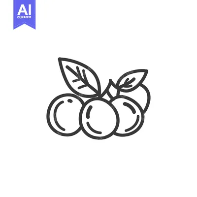 Premium design asset: Line Drawing of Three Berries with Leaves
