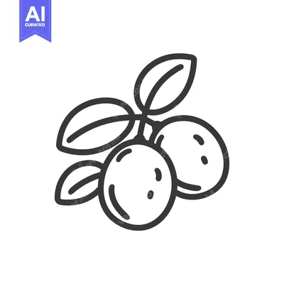 Aset desain premium: Line drawing of three berries with leaves