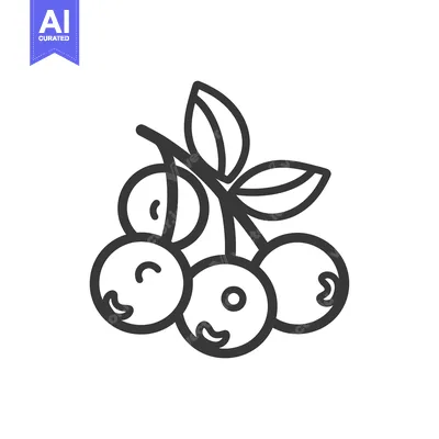 Aset premium populer: Line Drawing of Three Blueberries on a Branch with Leaves