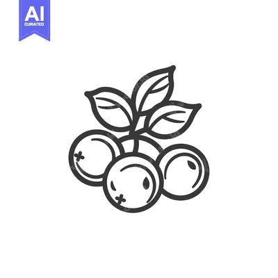 Aset premium populer: Line Drawing of Three Blueberries with Leaves