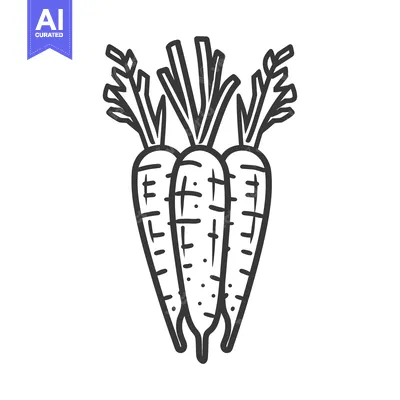 Aset premium populer: Line Drawing of Three Carrots with Tops