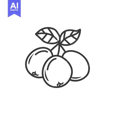 Premium design asset: Line Drawing of Three Cherries with Leaves