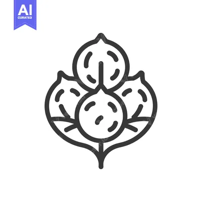 Aset desain premium: Line Drawing of Three Cotton Bolls on a Stem