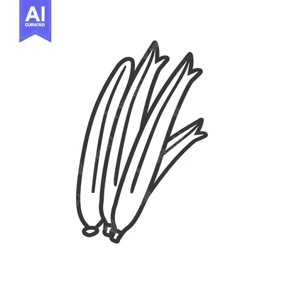 Popular premium asset: Line Drawing of Three Green Onions