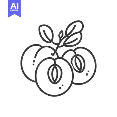 Aset desain premium: Line drawing of three peaches with leaves