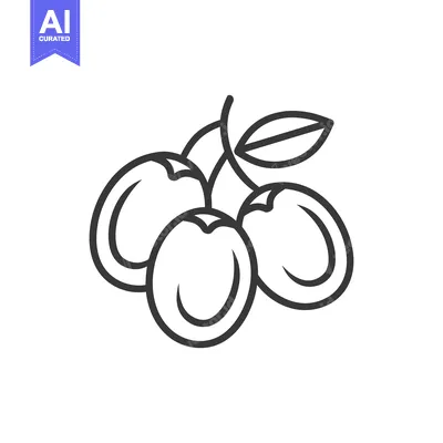Aset desain premium: Line Drawing of Three Plums with a Leaf