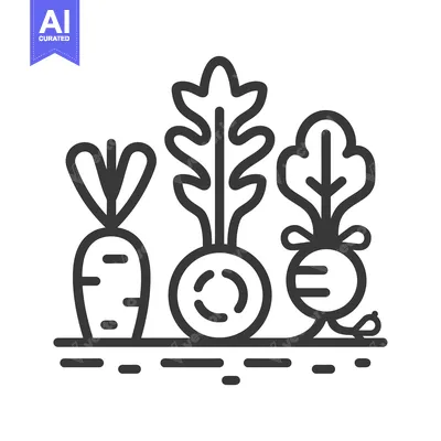 Line Drawing of Three Root Vegetables Growing in the Ground