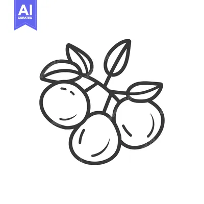 Aset premium populer: Line Drawing of Three Round Fruits on a Branch with Leaves
