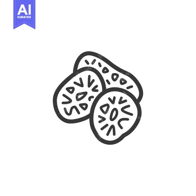 Popular premium asset: Line Drawing of Three Sliced Kiwi Fruit