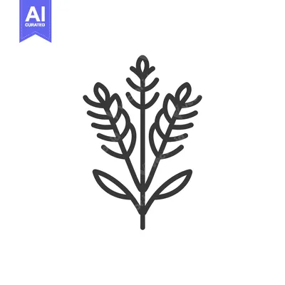 Popular premium asset: Line drawing of three stalks of wheat with leaves