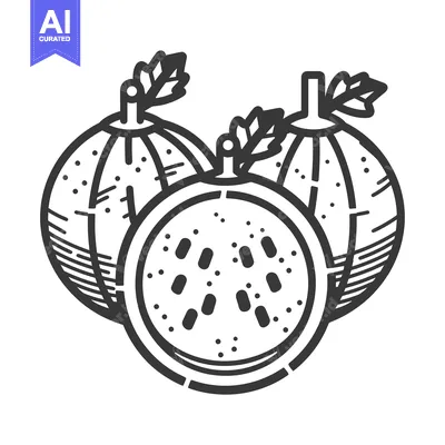 Aset desain premium: Line Drawing of Three Whole and Sliced Passion Fruits